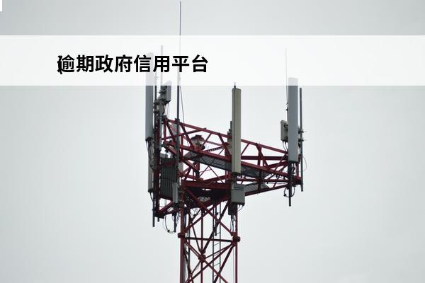 逾期政府信用平台
(