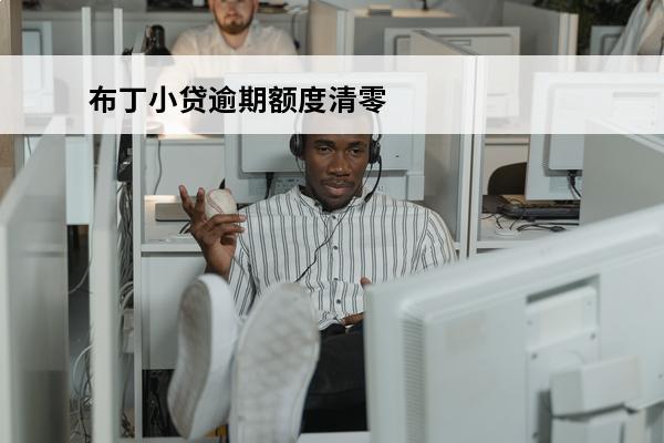 布丁小贷逾期额度清零