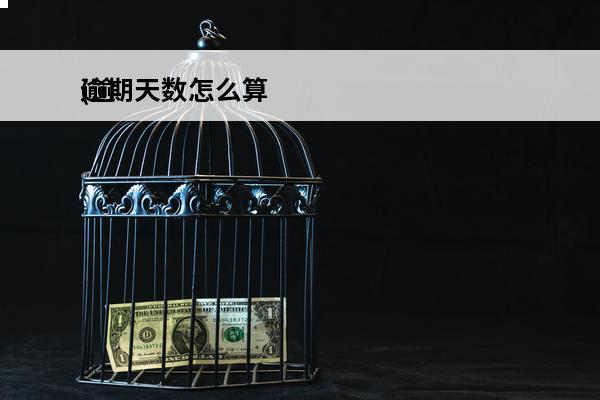 逾期天数怎么算
(逾
