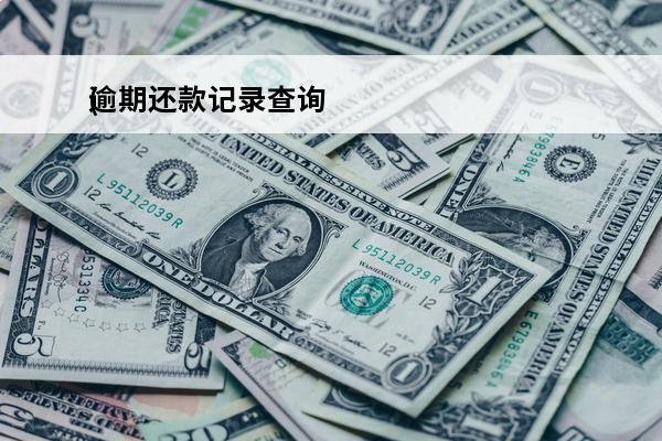 逾期还款记录查询
(逾期还款金额查询)