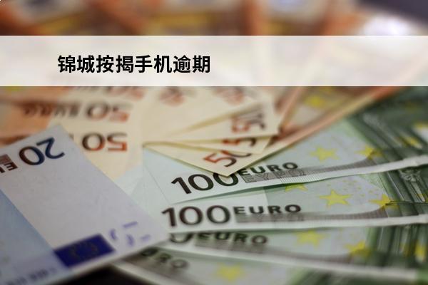 锦城按揭手机逾期
 按揭手机逾期两年了怎么还款