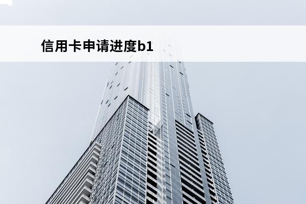 信用卡申请进度b1
(信用卡申请进度查询官网)