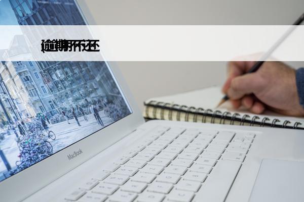 逾期不还
(逾期不还