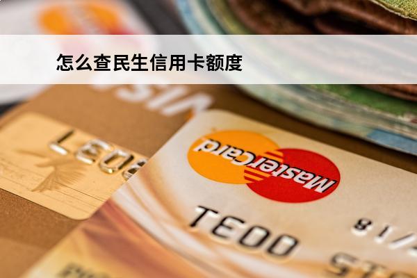 怎么查民生信用卡额度
(怎样查民生信用卡额度)