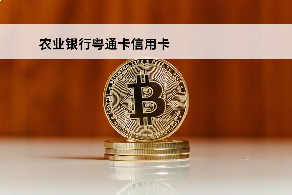 农业银行粤通卡信用卡
(农行粤通卡有年费吗)