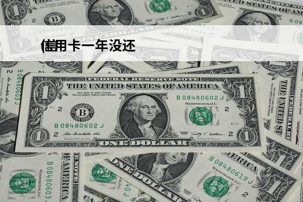 信用卡一年没还
(信用卡一年没还过钱会起诉吗)
