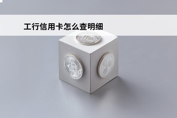 工行信用卡怎么查明细