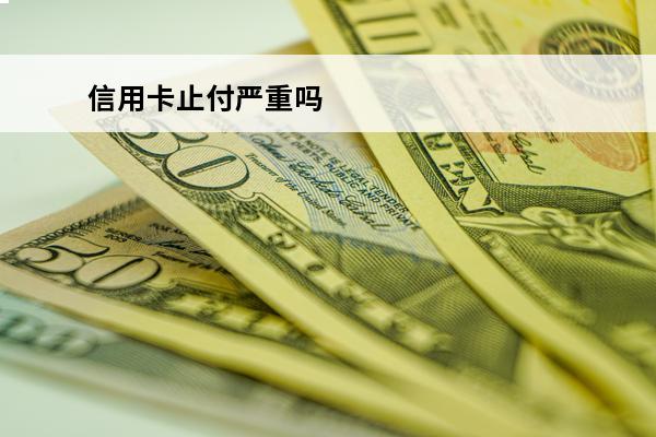 信用卡止付严重吗
 