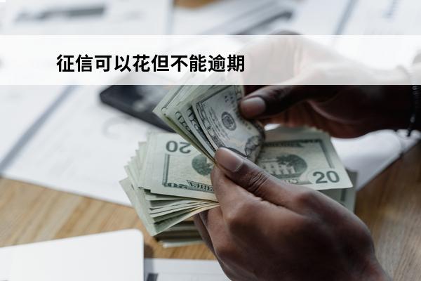 征信可以花但不能逾期
 征信比较花但是没有逾期可以贷款吗