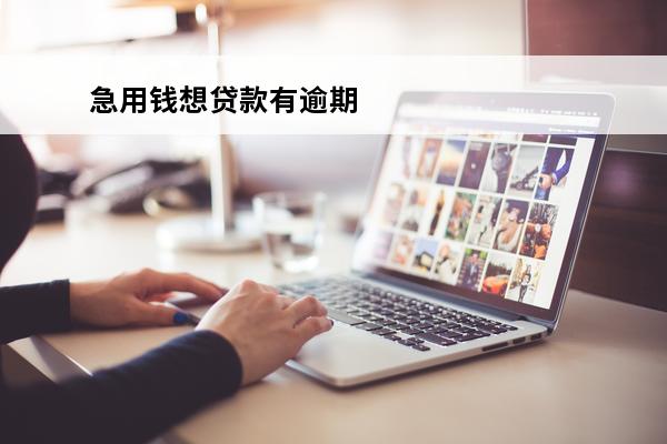 急用钱想贷款有逾期
 正在逾期急用钱还可以借款