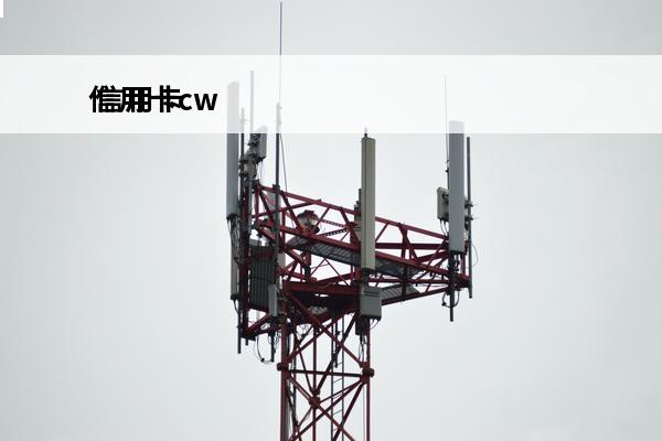 信用卡cw
 信用卡cw号码是什么