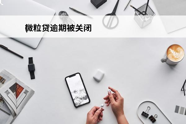 微粒贷逾期被关闭
(微粒贷逾期12天说关闭还款通道)