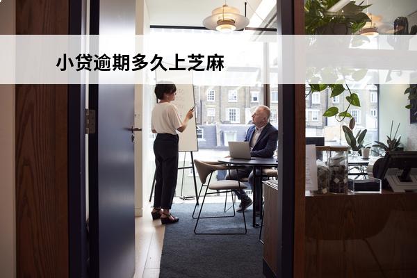 小贷逾期多久上芝麻
 网贷逾期芝麻记录多久会消除
