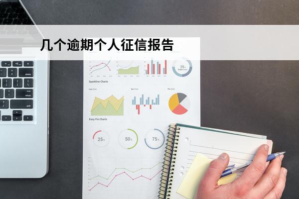几个逾期个人征信报告
 个人征信报告有2个逾期账户