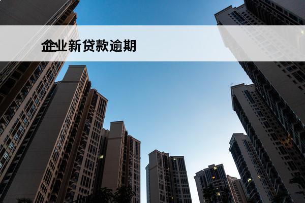 企业新贷款逾期
 企业新贷款逾期会怎么样