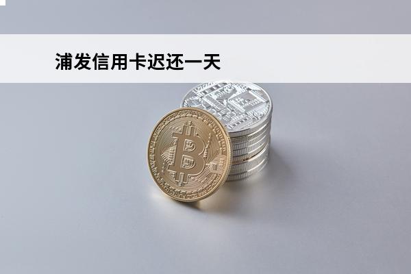 浦发信用卡迟还一天
