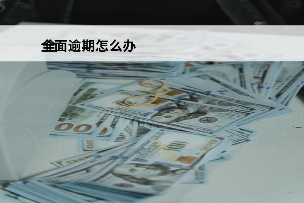 全面逾期怎么办
 全