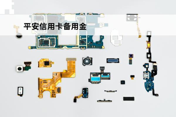 平安信用卡备用金
 平安信用卡备用金怎么申请