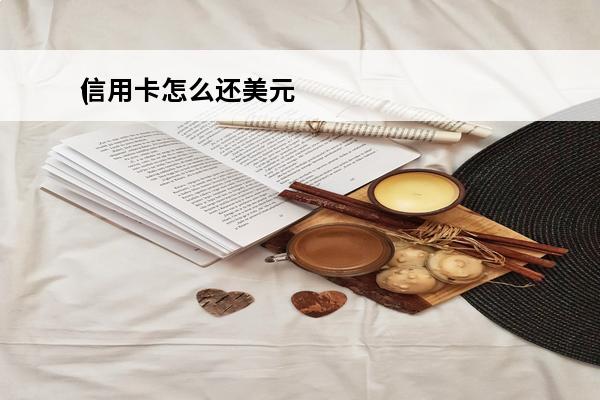 信用卡怎么还美元
(信用卡怎么还美元账户)