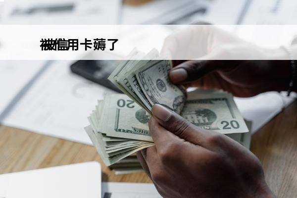 被信用卡薅了
 被信用卡毁掉的年轻人