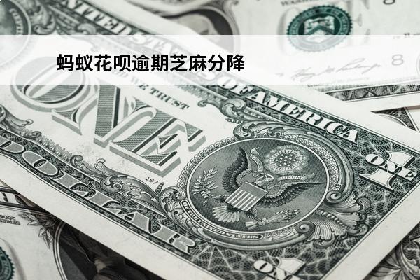 蚂蚁花呗逾期芝麻分降