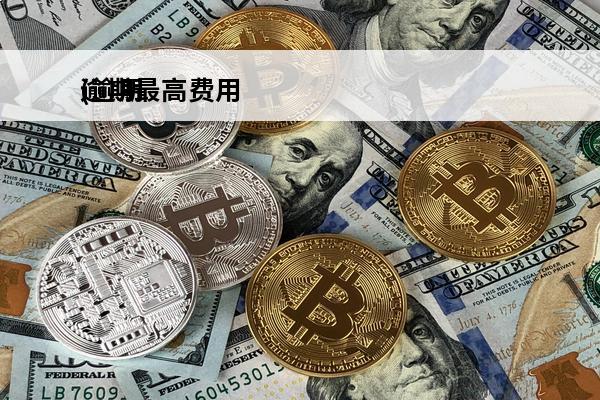 逾期最高费用
(逾期