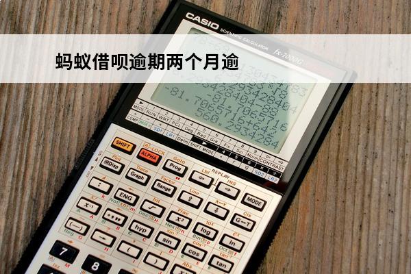 蚂蚁借呗逾期两个月逾期
(借呗逾期了两个月)