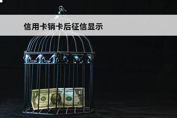 信用卡销卡后征信显示
(信用卡销卡征信显示么)