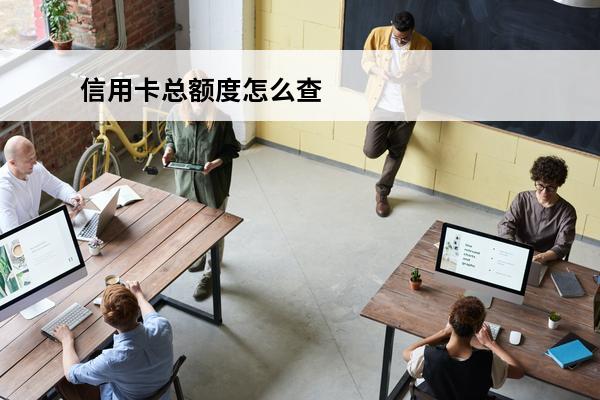信用卡总额度怎么查
 信用卡总额度怎么查不到