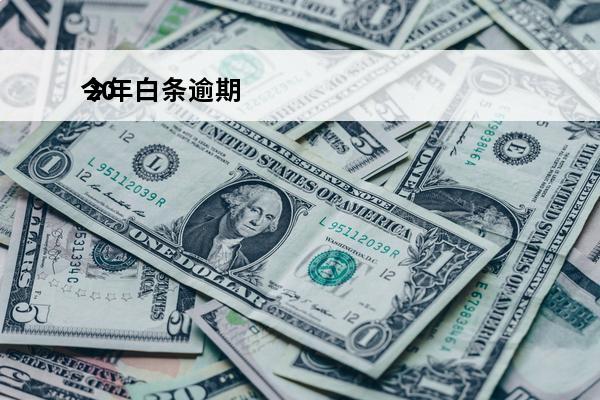 今年白条逾期
 2021白条逾期