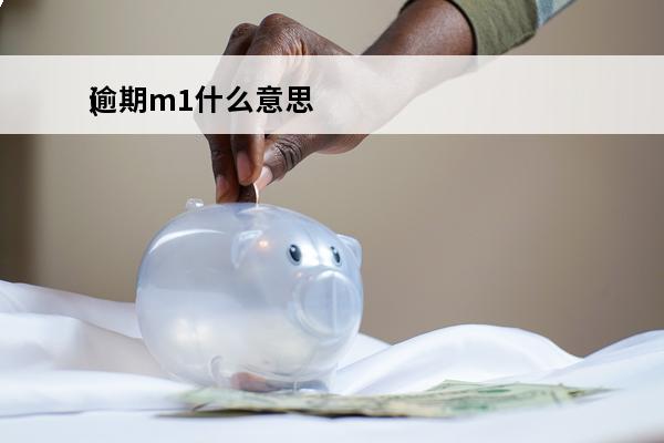 逾期m1什么意思
(
