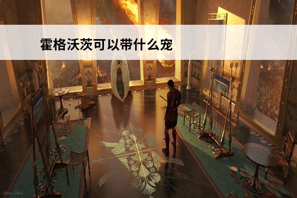 霍格沃茨可以带什么宠