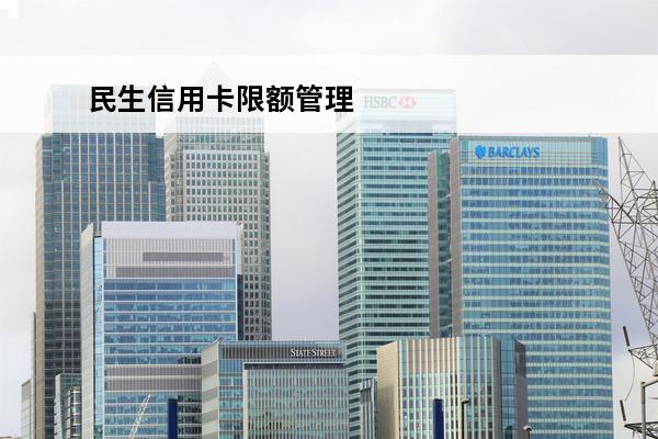 民生信用卡限额管理
(民生卡单日限额)