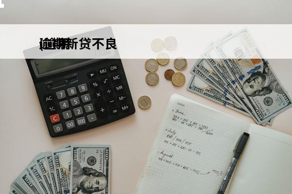 逾期新贷不良
(逾期不良)