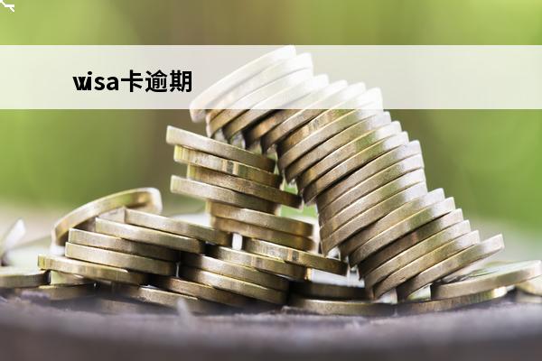 visa卡逾期
 v