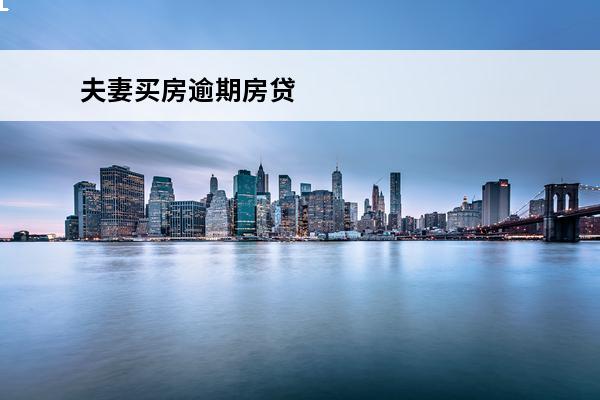 夫妻买房逾期房贷
 