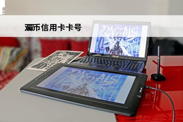 双币信用卡**
 双