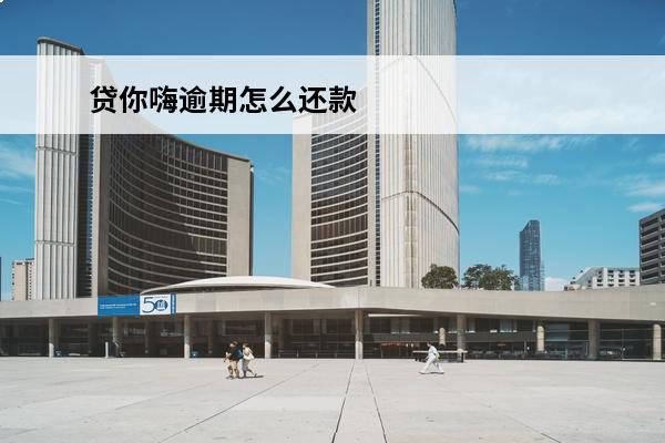 贷你嗨逾期怎么还款
