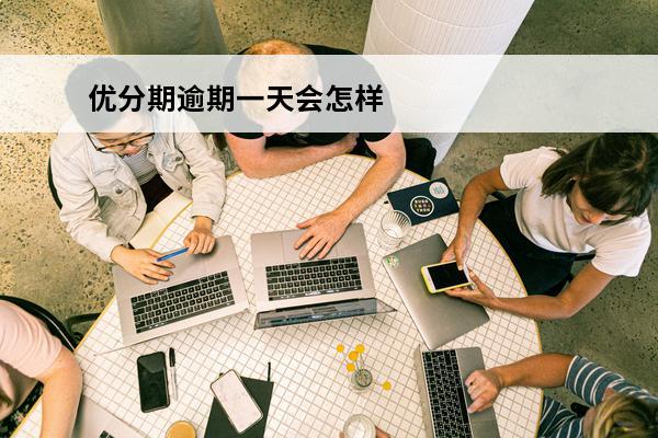 优分期逾期一天会怎样
