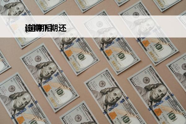 逾期下期还
(逾期后还款)