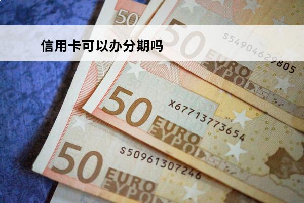 信用卡可以办分期吗
(信用卡可以办分期吗怎么办)