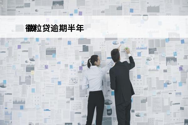 微粒贷逾期半年
 微粒贷逾期半年工作人员突然要家人电话能给吗