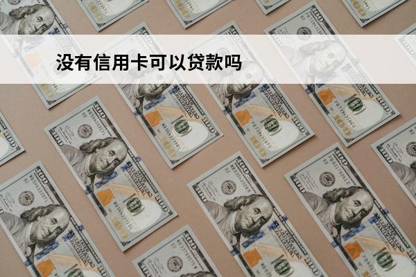 没有信用卡可以贷款吗
(有信用卡能申请贷款吗)