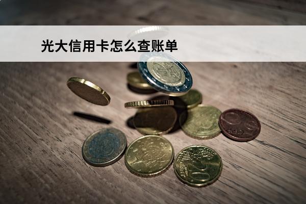 光大信用卡怎么查账单