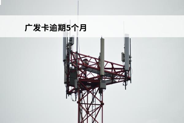 广发卡逾期5个月
 广发银行逾期4个月,要一次性还清欠款吗?