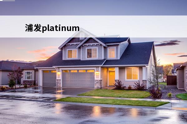 浦发platinum信用卡
(浦发platinum信用卡有年费吗)