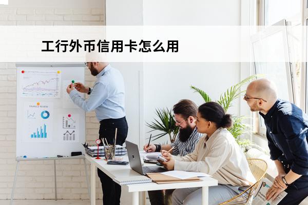 工行外币信用卡怎么用
 工商银行的外币信用卡