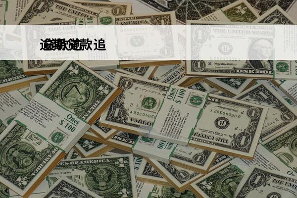 逾期贷款追
 贷款逾
