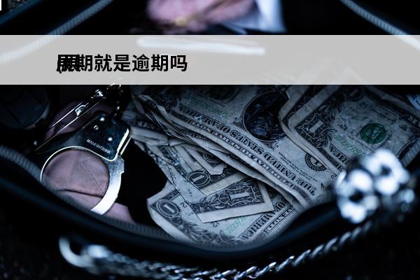 展期就是逾期吗
(展