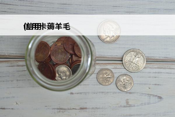 信用卡薅羊毛
(信用卡薅羊毛是什么意思)